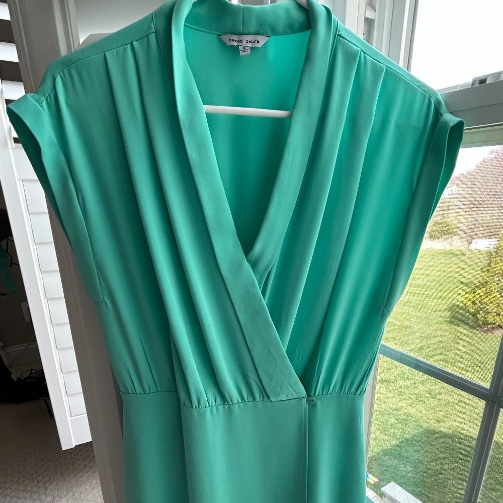 Turquoise Dress - Naked Zebra - 100% Polyester